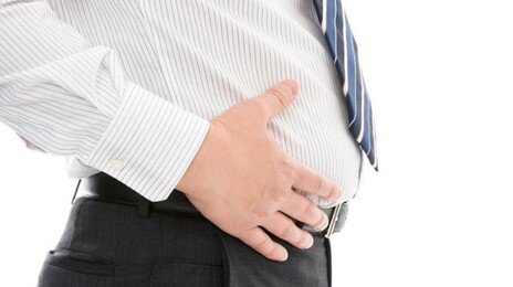 ‘지방세포 생성’ 켜고 끄는 스위치 발견… 비만-지방간 정밀 치료길 연다