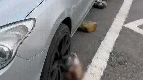 “차 대지마” 주차장 바닥에 본드로 돌 붙인 황당 주민