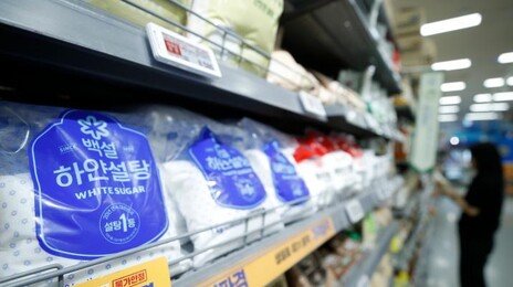국민 80% “첨가당 과도 사용 기업에 설탕세 부과해야”