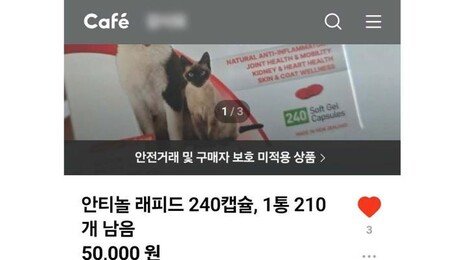 “입금 먼저 해달라” 중고사이트서 판매금 ‘먹튀’ 40대 구속 송치