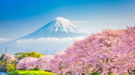 “차례상 대신 비행기” 설날 여행지 51.6%는 일본행 [트렌디깅]