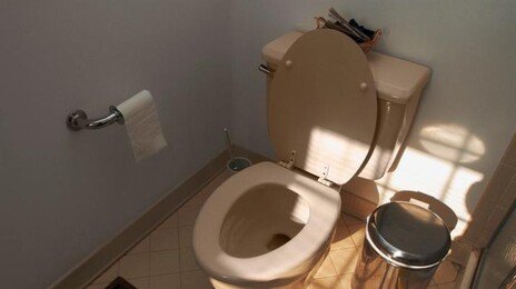 화장실 두루마리 휴지는 ‘이 방향’이 맞는 이유