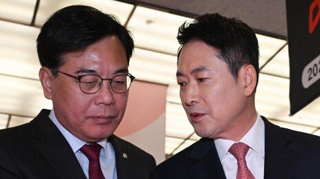 국힘 새 강령에 ‘건국 주도’ 넣고 ‘기본소득’ 삭제 검토