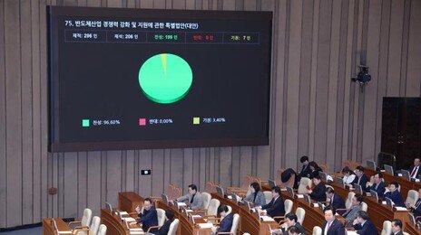 여야, 민생법안 속도전…반도체특별법·제헌절 공휴일 통과