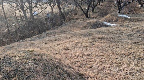 옥천 묘 11곳에 굵은 소금 뿌리고 도주…어떤 주술이길래