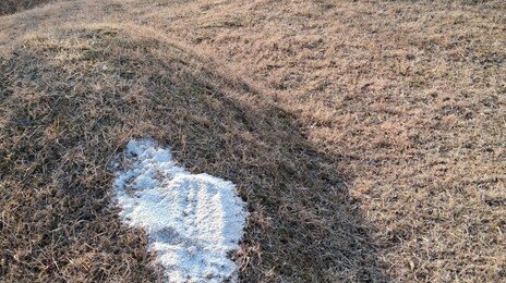 무슨 주술이길래…마을 묘소 11곳에 ‘소금 테러’