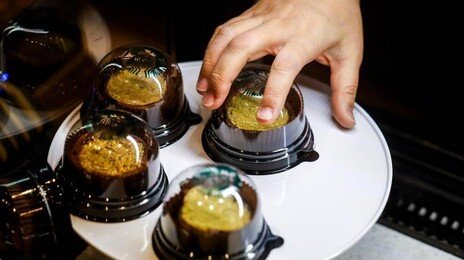 ‘두쫀롤’이 뭐길래…새벽 오픈런에 ‘7200원→5만원’ 되팔기까지