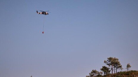 요르단,  마약단속 작전 13건…35명 체포, 무기· 마약 다량 압수