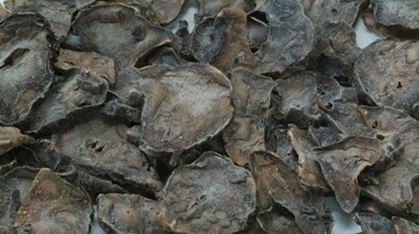 온라인서 산 약재 달여 마셨다가 사망…알고 보니 ‘독성’