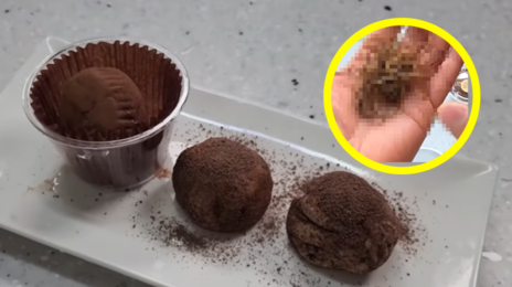 “두쫀쿠에 연가시를?” 기생충으로 만든 ‘괴식 디저트’ 화제