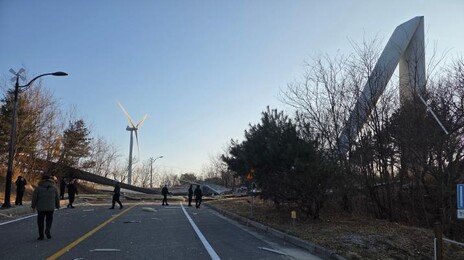 영덕 풍력발전기 갑자기 쓰러져…인명피해 없어
