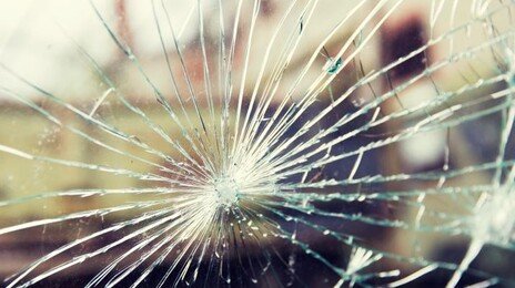 낮잠 자다 ‘탕’…집 안으로 날아든 총알, 방석에 박혀 생존