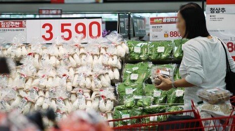 1월 소비자물가 2.0% 상승…5개월 만에 최저