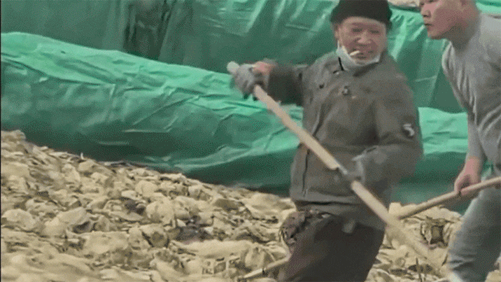 담배 피우며 배추 절이다 침까지….분노 부른 中공장 결국