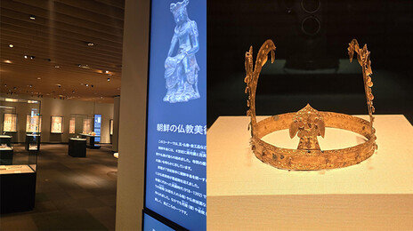 약탈 유산 전시 日 국립박물관… 외국인 요금 2∼3배 인상 차별 논란