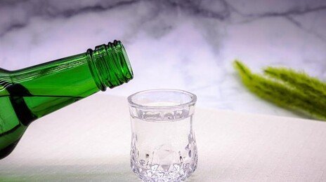 “도파민 시스템 변이…임신 중 음주, 자녀 알코올 의존 위험”