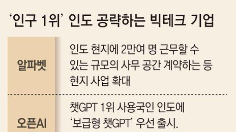 美 비자 문턱 높아지자… 알파벳-오픈AI 등 인재 찾아 인도로