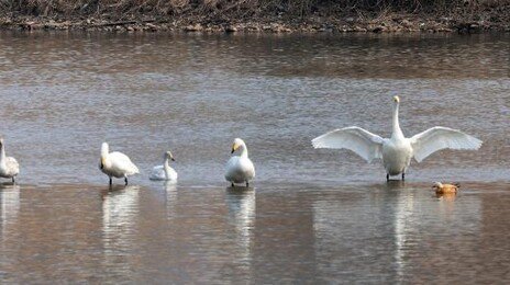 낮 최고기온 5~15도까지 올라…동해안 매우 건조