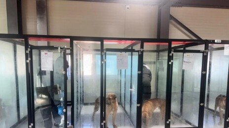 “냄새 나, 가위바위보 해” 동물보호소 단체봉사 온 40명 ‘눈살’