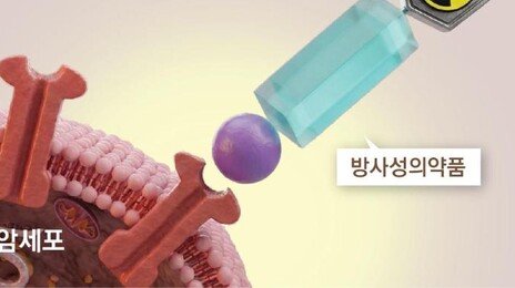 암세포만 콕집어 공격… 방사성의약품 ‘글로벌 왕좌’ 경쟁 치열