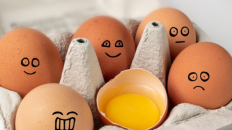 “달걀, 냉장고 문에 두지 마세요”…뾰족한 부분은 아래로 둬야