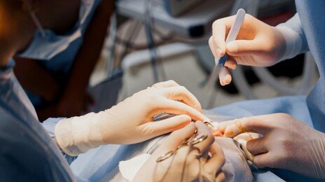 ‘성형’하다 사망 연간 6명…가장 빈번한 사고 유형은?