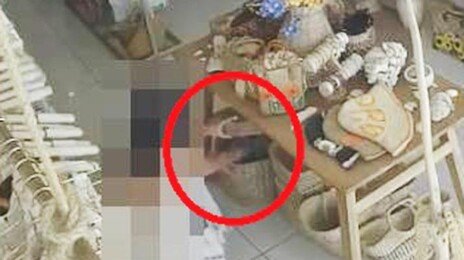 “푸껫서 고가 수영복 훔친 韓여성” CCTV에 딱 걸렸다