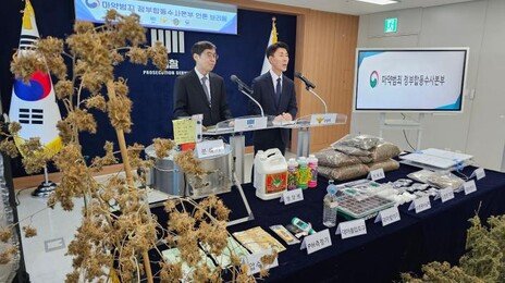 주택가서 전문 대마 재배시설 적발…재배 일당 4명 구속기소