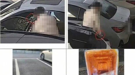수입차 시승 후 ‘떡볶이’ 몰래 버리고 간 고객…CCTV에 딱!