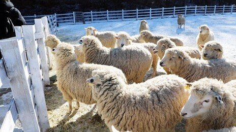 설 연휴 고속도로 휴게소 들른다면 ‘영수증’ 챙겨 할인 받으세요