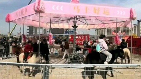 살아있는 말로 ‘회전목마’라니…동물학대 ‘뭇매’