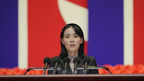 김여정 “정동영 무인기 유감표명, 비교적 상식적 행동”