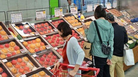 과일포장재·기름 묻은 신문지는 ‘종량제’…양파망은 ‘재활용’