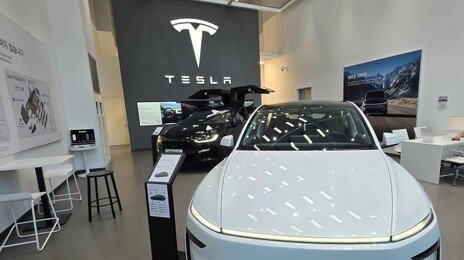 중국산 전기차의 한국 침공 ‘위협적’…완성차 시장 뒤흔들어