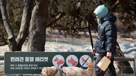 구청 강당이 애견호텔로…설연휴 ‘댕댕이 걱정’ 지자체도 나섰다