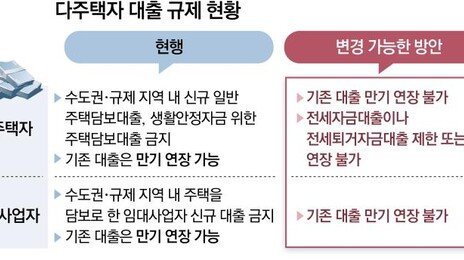 임대사업자-다주택자 대출 연장 ‘원천 봉쇄’ 검토