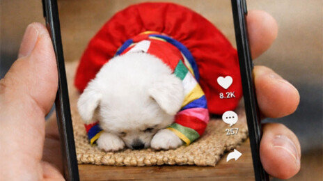 ‘구독자 600만’ 채널이 사라졌다…‘AI 슬롭’에 칼 빼든 빅테크들