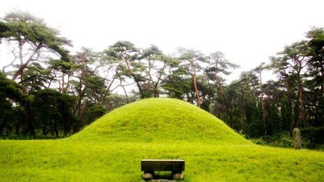 “내 땅 위 남의 조상 묘”…굴삭기로 파묘한 60대 유죄