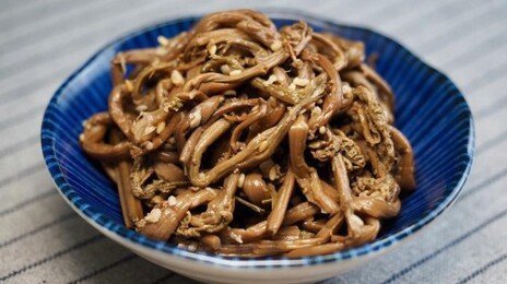 단백질 열풍 끝? 새로운 주인공 ‘식이섬유’ 떠오른 이유