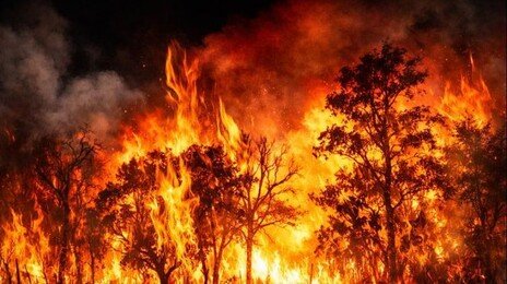 예산서 산불, 대응 1단계 발령…헬기 7대 투입해 진화 중