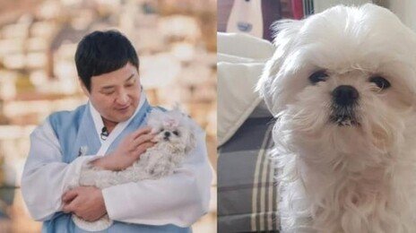 구성환 반려견 꽃분이 무지개다리 건넜다…“언젠가 꼭 다시 만나”