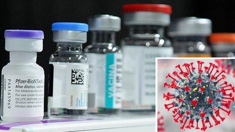 동물실험서 ‘만능 백신’ 성공… 코에 뿌리면 코로나-독감 예방