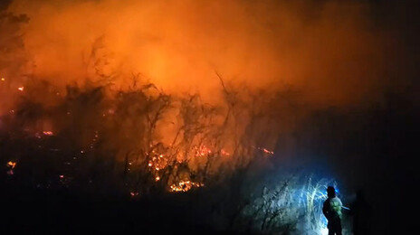 주말 전국 산불 20건 몸살…고성 강풍 뚫고 2시간 만에 주불 진화