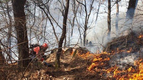 함양 산불 사흘만에 잡히자마자 밀양서 또…건조한 날씨-강풍 탓