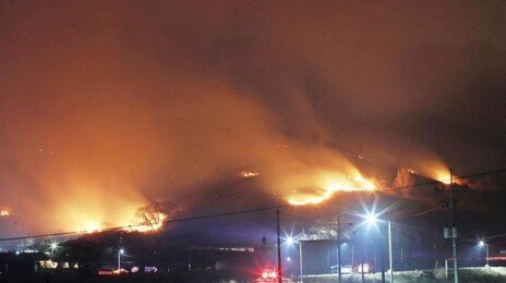 이틀만에 함양 산불 잡았는데 이번엔 밀양… 잇단 국가소방동원령