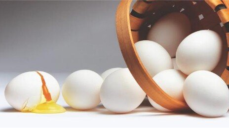 AI로 찾은 ‘살모넬라균 천적’… 항생제보다 억제력 높아