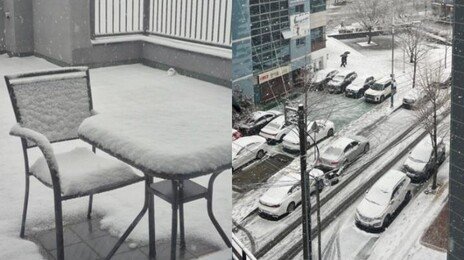 “대구에 이렇게 눈이 온다고?” 시민들도 놀란 ‘2월 폭설’