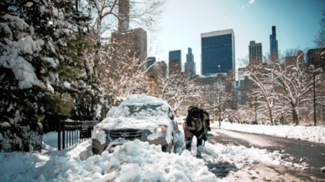 폭설에 마비된 뉴욕 “시급 4만원 줄게 제설작업 참여를”