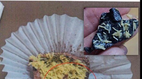 ‘두쫀쿠’서 식중독균 검출 등 위생불량 업체 81곳 적발