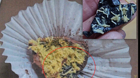 ‘두쫀쿠’ 등 디저트 판매점 조사… 식중독균 포함 81곳 위법 적발